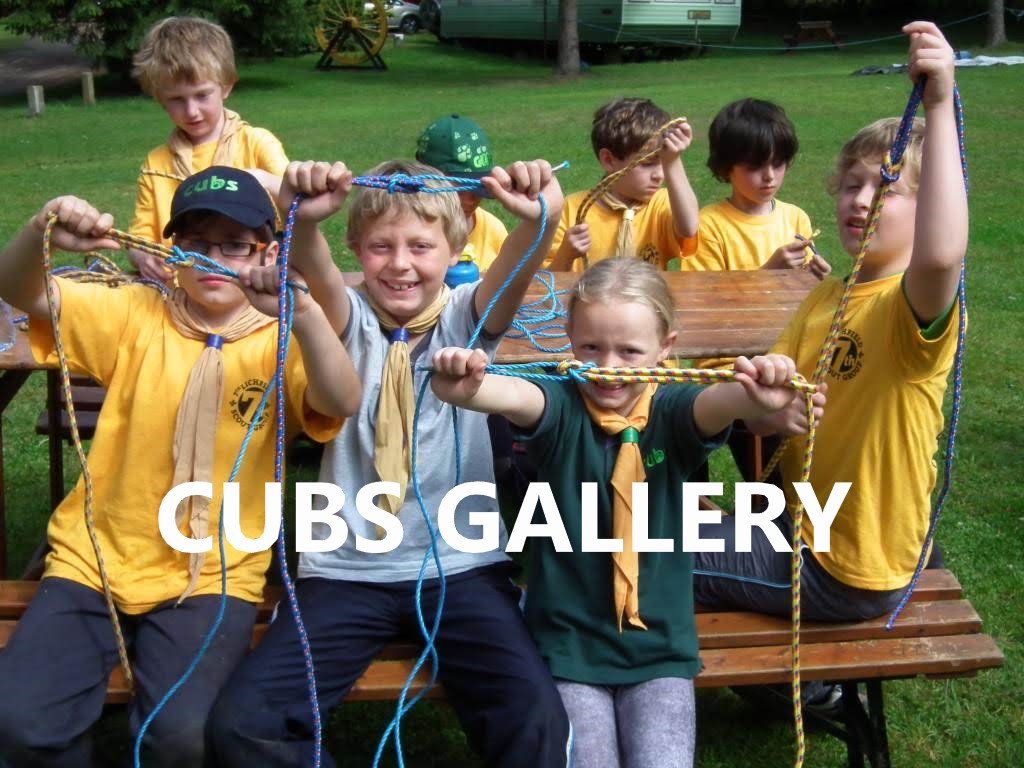 Cubs Gallery