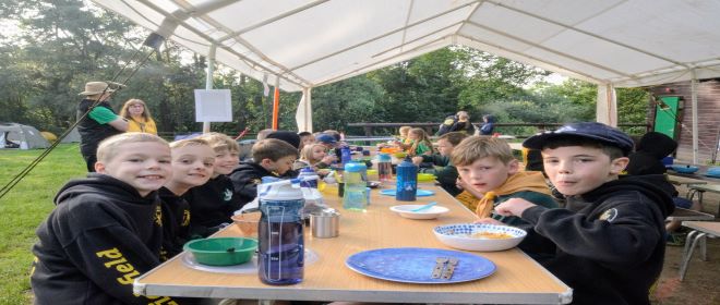 7th Lichfield Scouts - cubs-badges Image 7